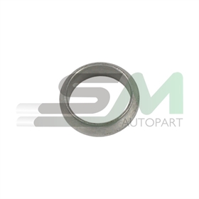 ANELLO GIULIA 1750/2000/GTV    INT 51X65X16 630-095