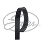 5PK_GATES