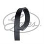 6PK_gates