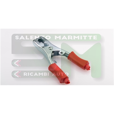 EAT11000040175_PNZA ROSA 