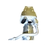 SEL023.1PNG