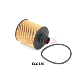 10-ECO020